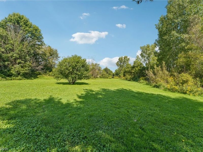 2535 Wilbur Road, Medina, OH 44256 Photo 43