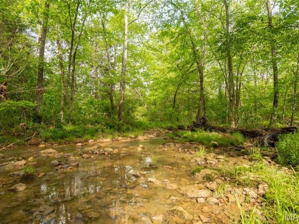 123 Bush Drive , Zalma, MO 63787