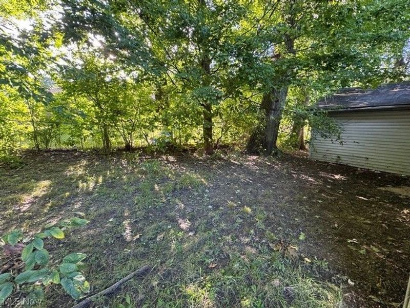 3424 Ambert Street , Youngstown, OH 44502 Photo 27