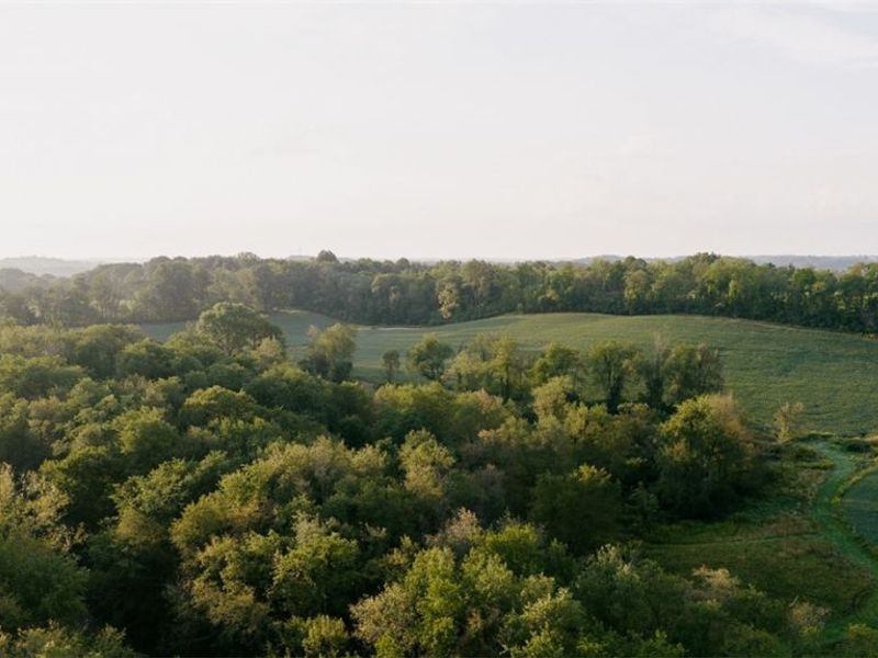 940 Parks Avenue SE, Paris, OH 44669 Photo 14