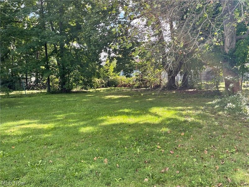 1731 Thornapple Avenue, Akron, OH 44301 Photo 11