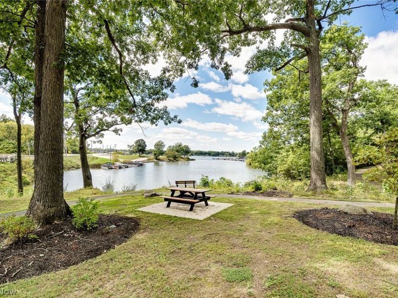 259 NE River Road, Lake Milton, OH 44429 Photo 46