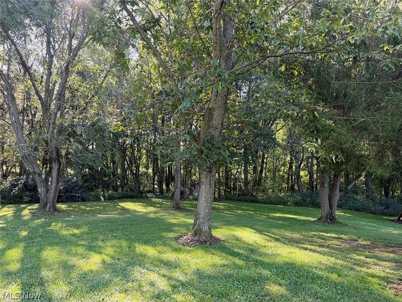 10182 Andora Road NE, East Rochester, OH 44625 Photo 33