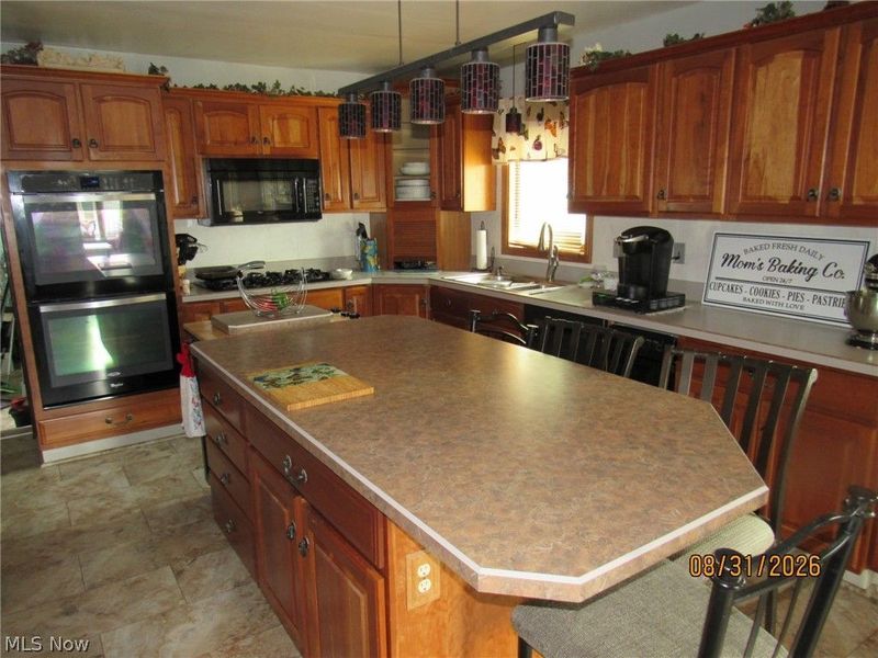 1733 E 238th Street, Euclid, OH 44117 Photo 17