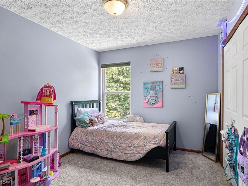 1743 Dunlap Drive , Streetsboro, OH 44241 Photo 20
