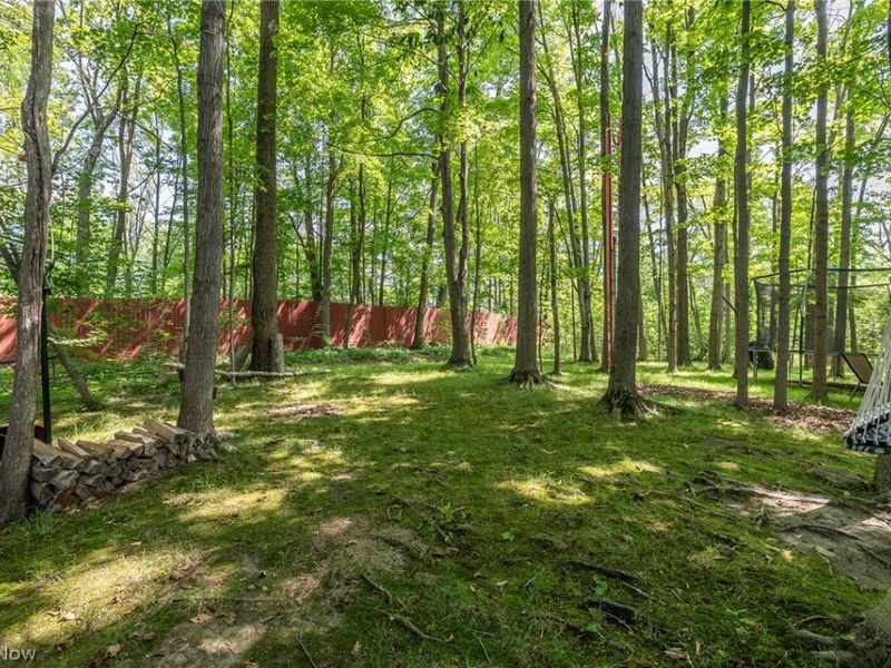 1743 Dunlap Drive , Streetsboro, OH 44241 Photo 34