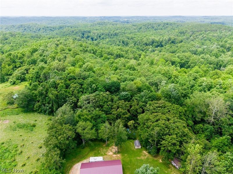 74333 Irish Ridge Road, Kimbolton, OH 43749 Photo 37