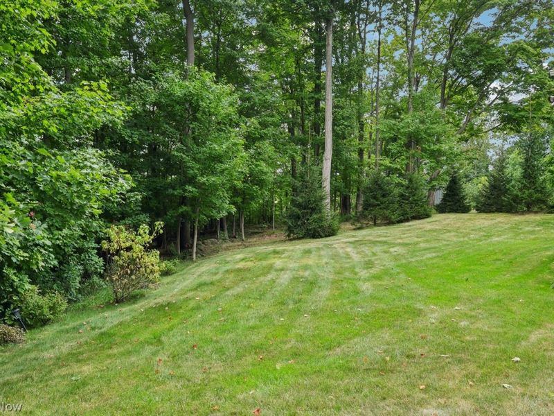 6362 Mulberry Bend Drive, Medina, OH 44256 Photo 41