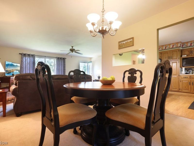 1146 Gaynelle Avenue, Streetsboro, OH 44241 Photo 11