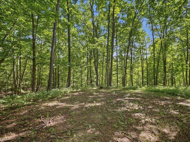 1837 Township Road 1215, Ashland, OH 44805 Photo 20