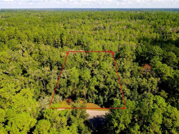 1135 E ODIN DRIVE , CITRUS SPRINGS, FL 34434