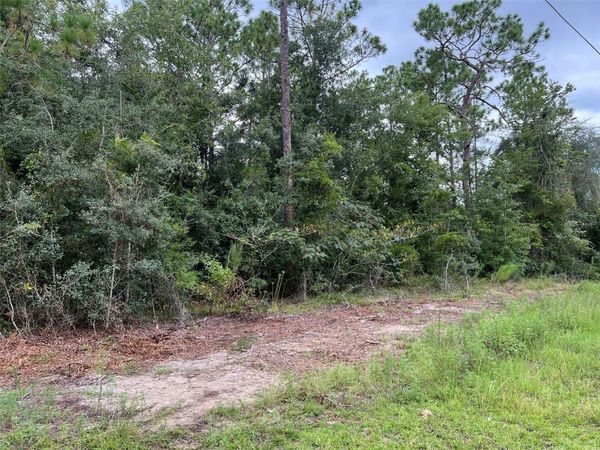 TBD SW 167TH AVENUE , OCALA, FL 34481