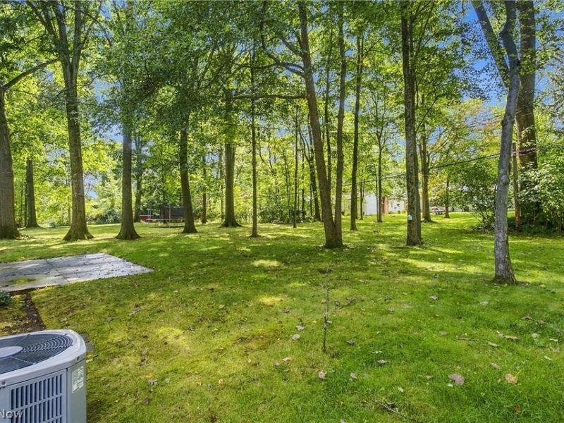 6832 Green Ridge Avenue, Solon, OH 44139 Photo 41