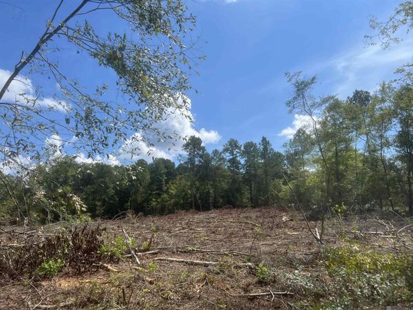 TBD L Williams Rd, Clinton, LA 70722