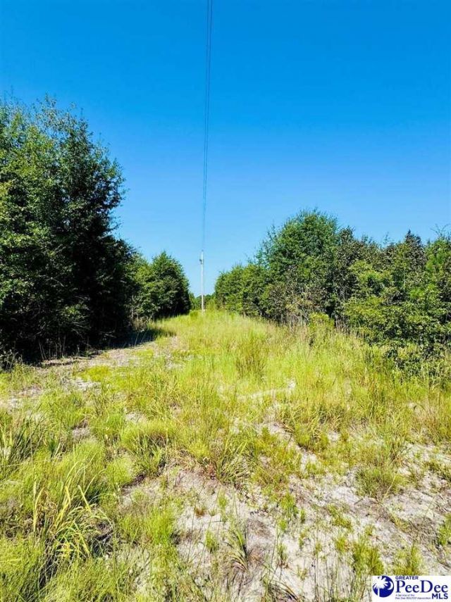 Newman Lane Photo 5