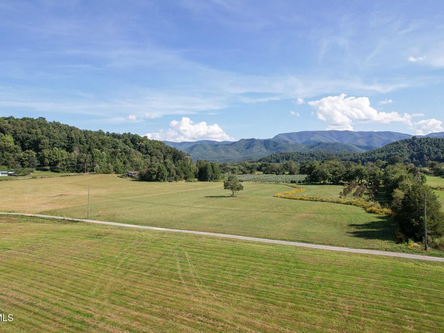 Property Image 73