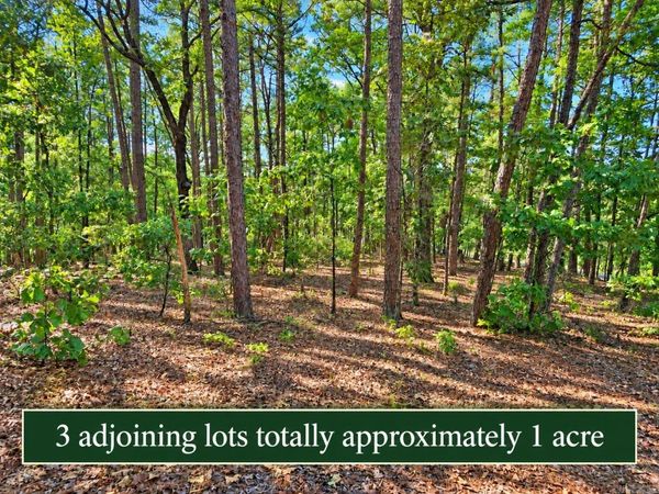 2, 4 and 6 Cobrar Place , Hot Springs Village, AR 71909