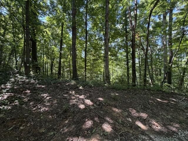 16.25 Ac Jimmy Reneau Rd, Celina, TN 38551 Main Photo