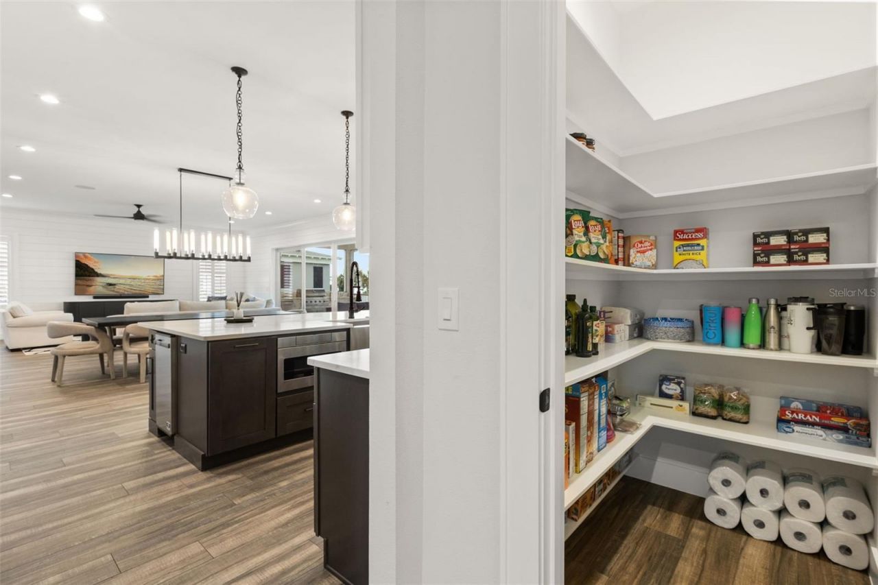 907 Celadon Street, Winter Garden, FL 34787 Photo