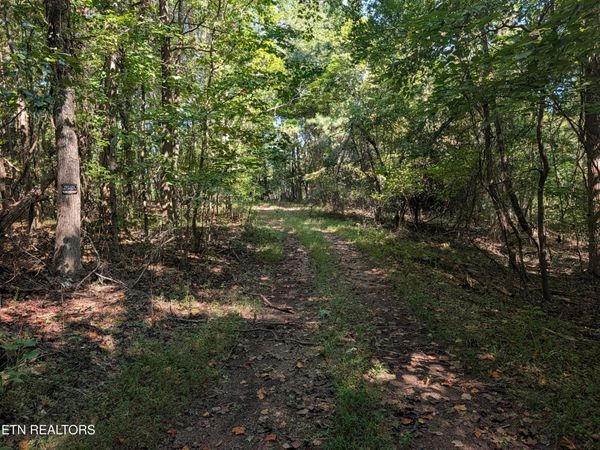665 Lakewood Village Rd, Spring City, TN 37381