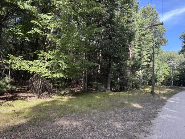 Lot 136 Wayne Avenue, Pentwater, MI 49449