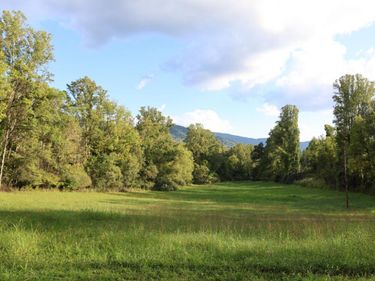 0 Puppy Creek Road, Amherst, VA 24521