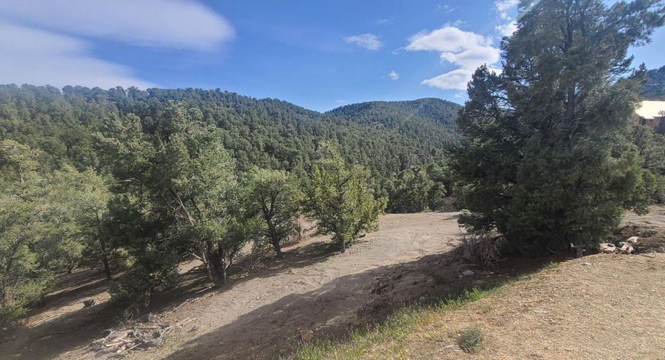 21685 Palamino Road, Virginia City, NV 89440 Photo