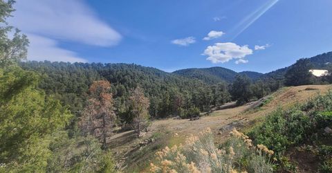 21685 Palamino Road, Virginia City, NV 89440 Photo