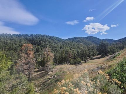 21685 Palamino Road, Virginia City, NV 89440 Photo
