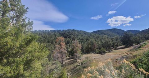 21685 Palamino Road, Virginia City, NV 89440 Photo