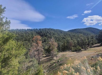 21685 Palamino Road, Virginia City, NV 89440 Photo