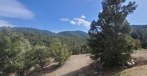 21685 Palamino Road, Virginia City, NV 89440 Photo