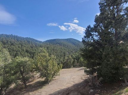 21685 Palamino Road, Virginia City, NV 89440 Photo