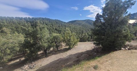 21685 Palamino Road, Virginia City, NV 89440 Photo