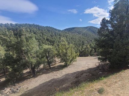 21685 Palamino Road, Virginia City, NV 89440 Photo
