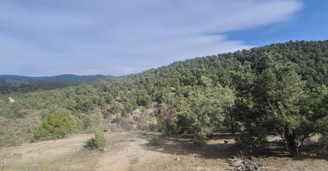 21685 Palamino Road, Virginia City, NV 89440 Photo