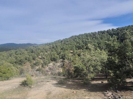21685 Palamino Road, Virginia City, NV 89440 Photo