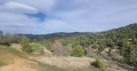 21685 Palamino Road, Virginia City, NV 89440 Photo