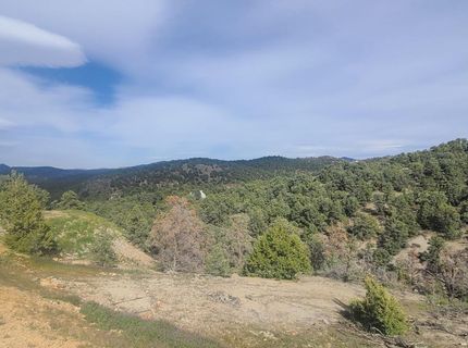 21685 Palamino Road, Virginia City, NV 89440 Photo