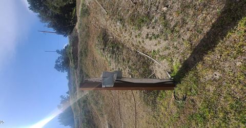 21685 Palamino Road, Virginia City, NV 89440 Photo
