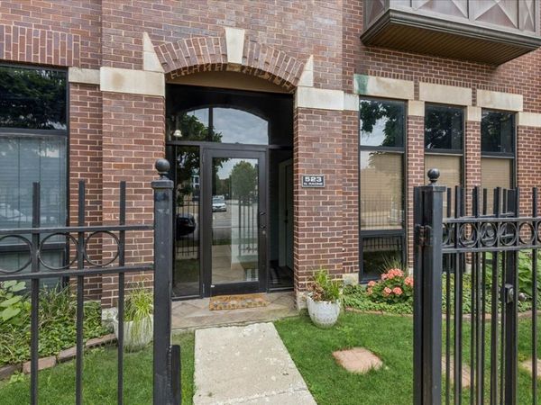 523 N Racine Avenue, Unit 1, Chicago, IL 60642