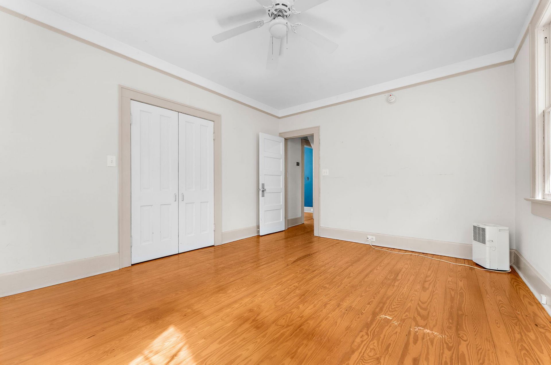 161 Grove Street Photo 18