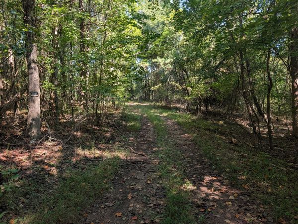 665 Lakewood Village Rd , Spring City, TN 37381