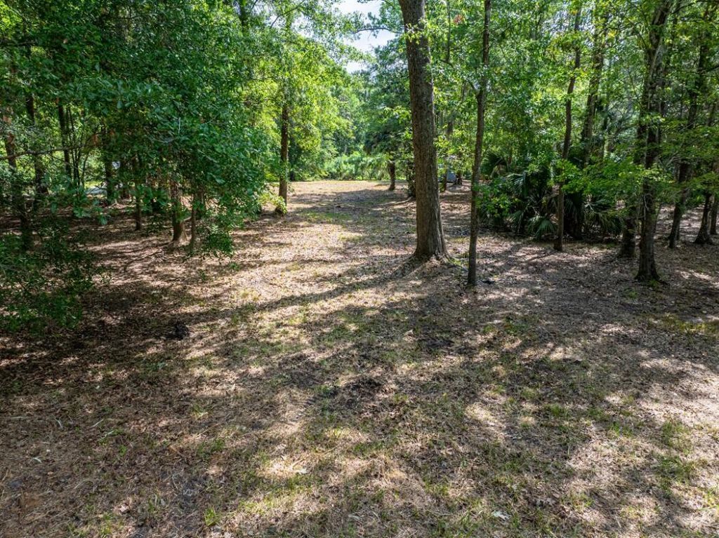 2044 Shell Island Photo 4