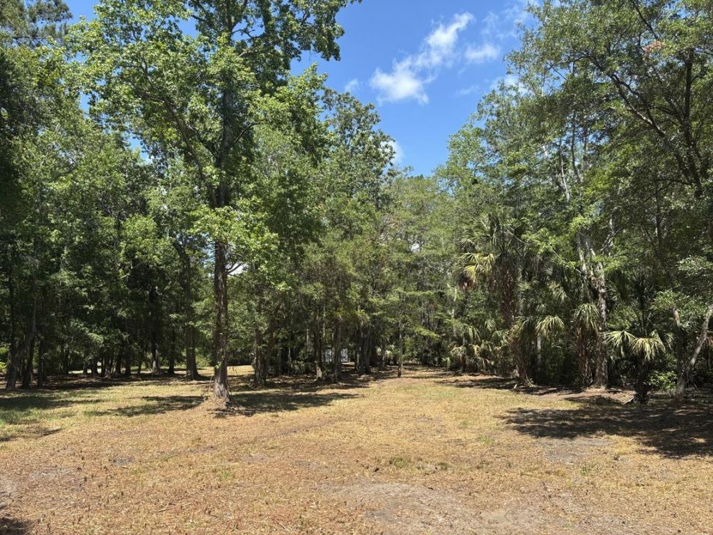 2044 Shell Island Photo 7