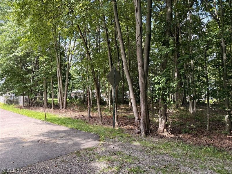 13545 Meadow Street NE, Alliance, OH 44601 Photo 5