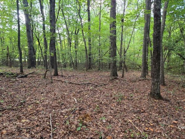Birch Place, Monterey, TN 38574