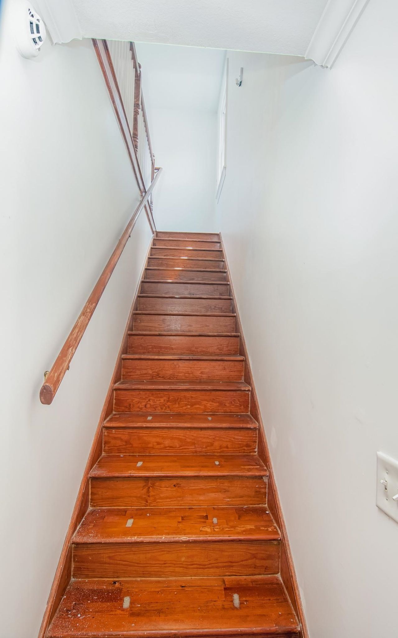 328 Queen St.  Photo 18