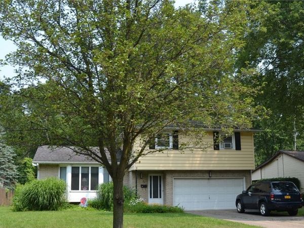 23 Burgundy , Buffalo, NY 14228