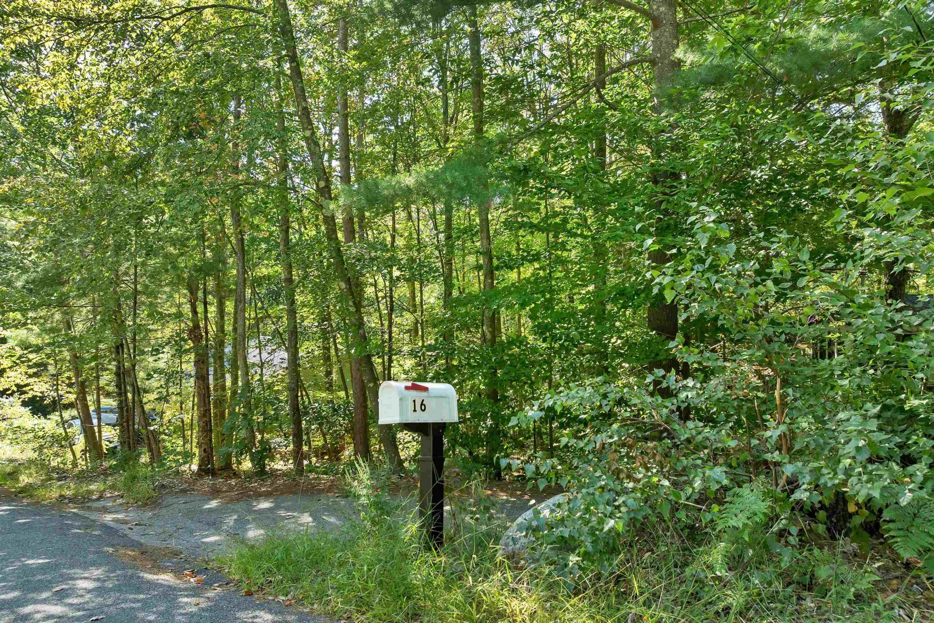 16 Forest Avenue Gilford, NH 03249